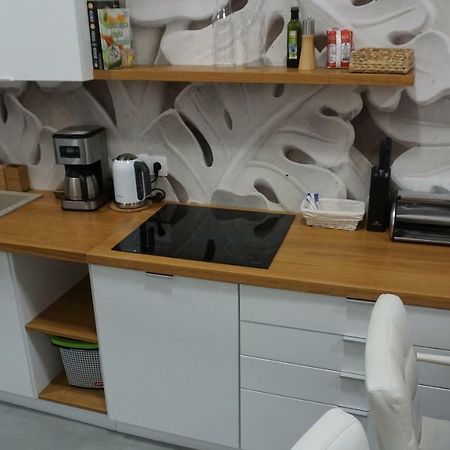 Apartament Starowislna คราคูฟ ภายนอก รูปภาพ
