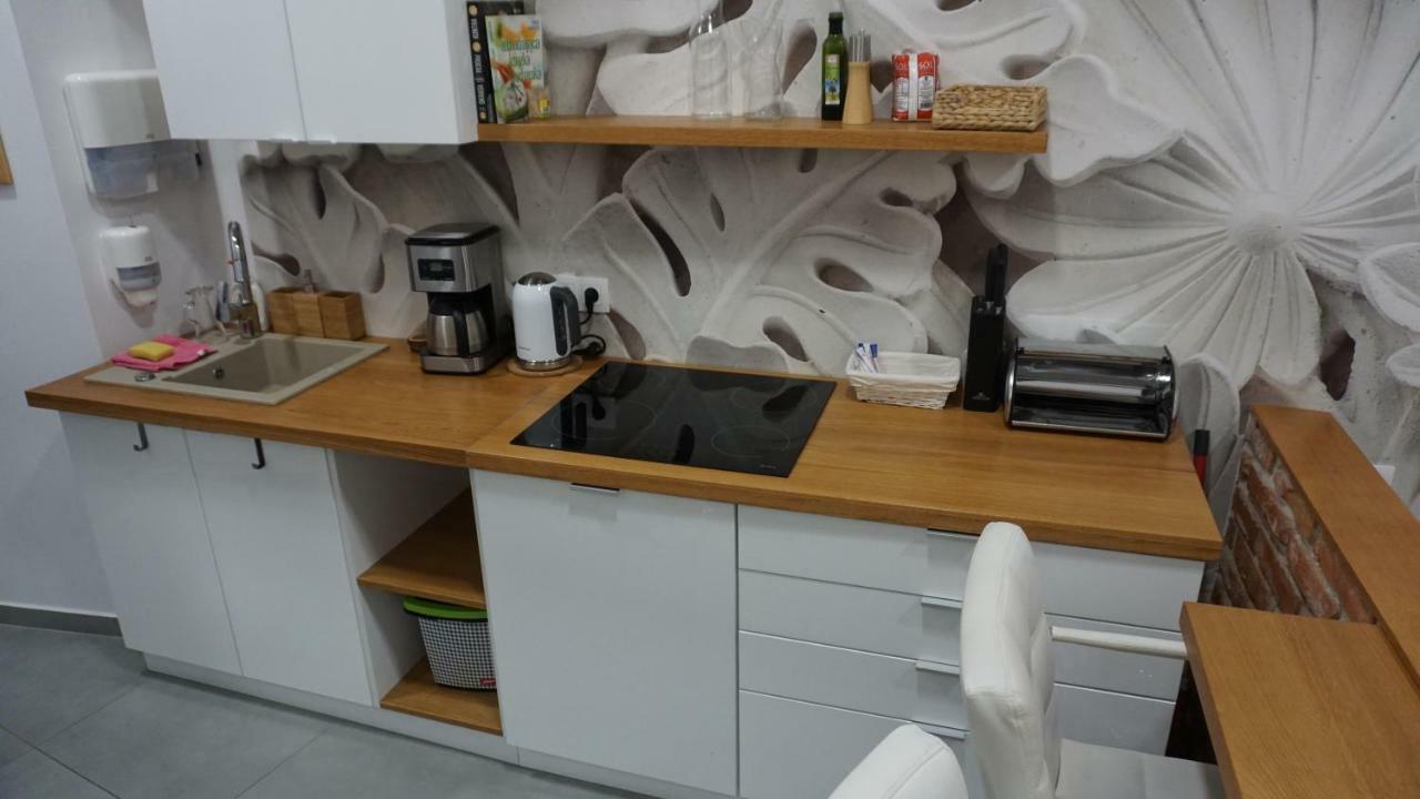 Apartament Starowislna คราคูฟ ภายนอก รูปภาพ